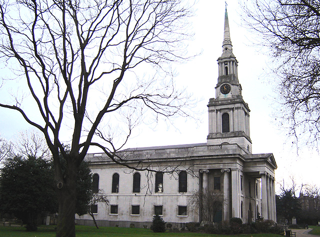 Poplar